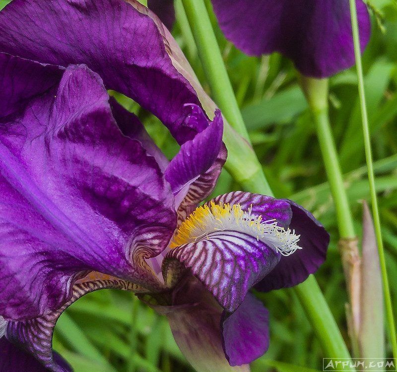 iPhone 8上市了 来看看用户的评测