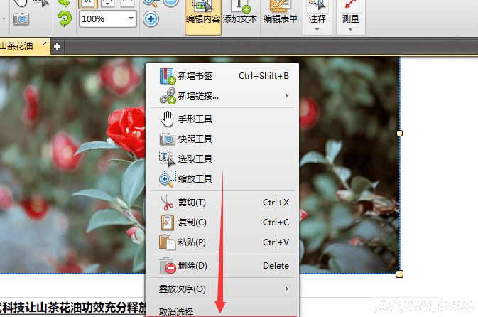 如何在PDF文件中修改图片透明度?