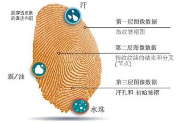 屏下指纹原理是什么 实现方法三个原理屏下指纹