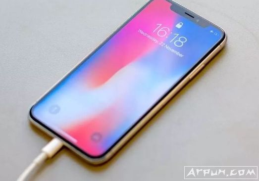 ƻ���ֻ������������