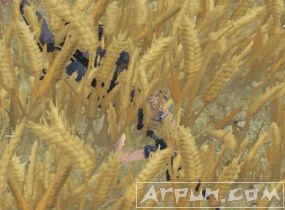 荒野行动十字弩怎么用?荒野行动十字弩属性用法测评