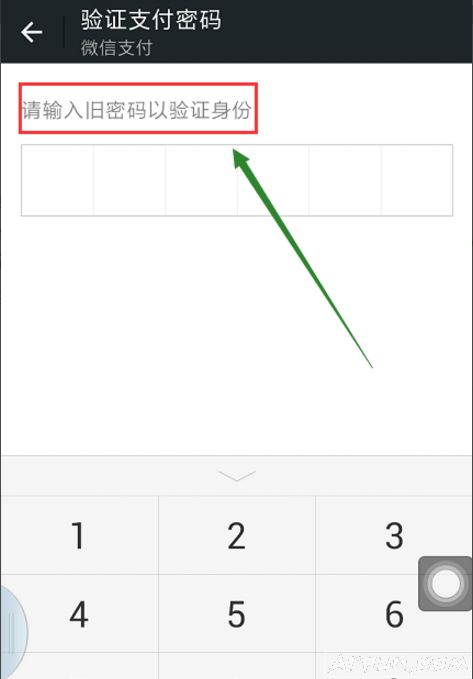 ΢��֧����������