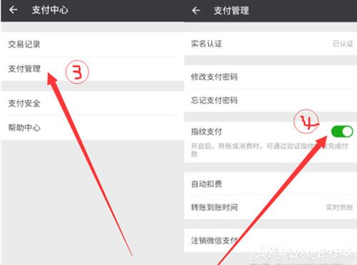 С��8΢��ָ��֧������