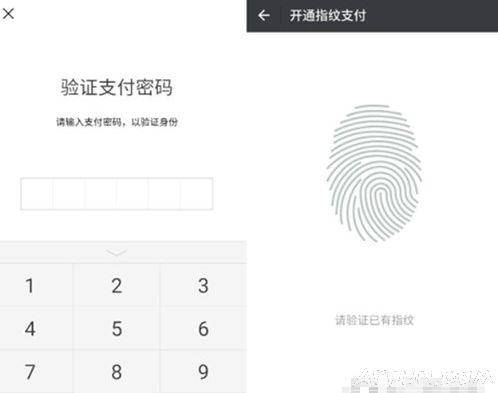 С��8΢��ָ��֧������