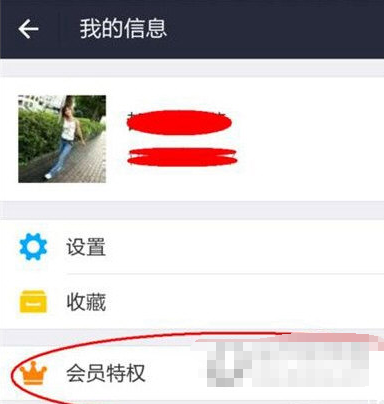 支付宝黄金会员拥有什么权利吗?