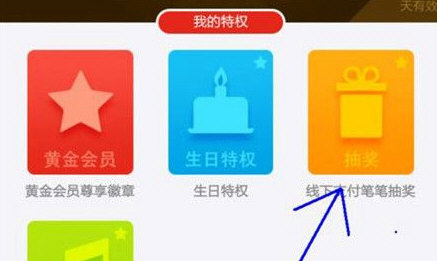 支付宝黄金会员拥有什么权利吗?