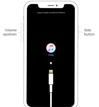 iPhoneͣ�ù�������������ӵ������ֻ�