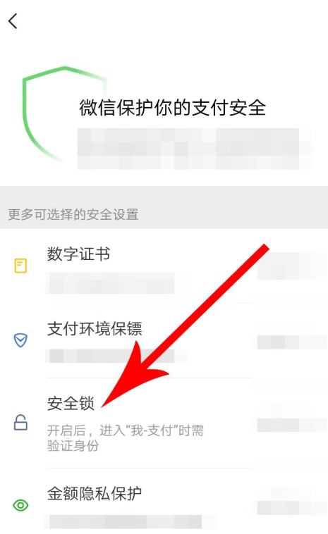 �������΢��֧����ȫ��