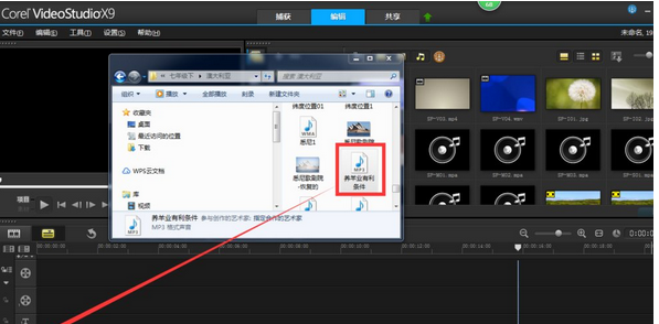 会声会影把女声变成男声的操作流程会声会影把女声变成男声的操作流程
