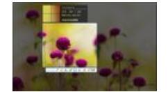 2345��ͼ���ر����Ź�����2345��ͼ���ص��ȵ���Ĳ�������