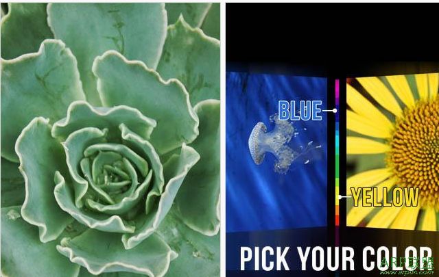 壁纸 Wallpapers HD