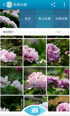 �ٶ�ʶͼ�ֻ���