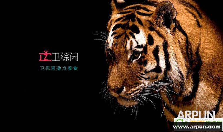 ������ ����TV��