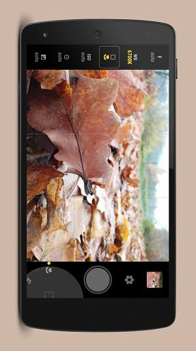 手动相机(Manual Camera)