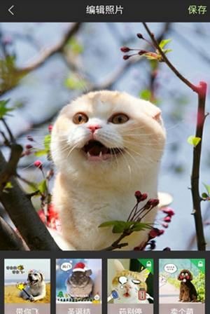 �ȳ�����ٷ���