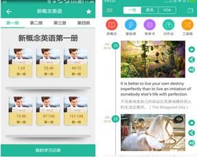 �¸���Ӣ��