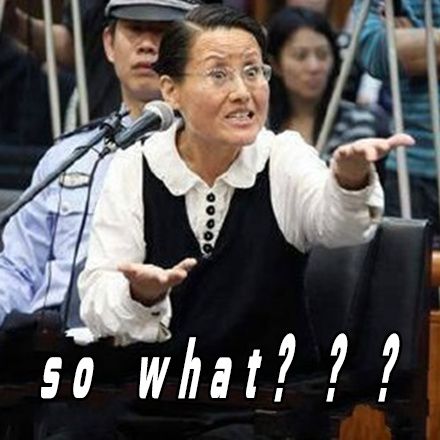 女子盗窃文物表情包 无水印版