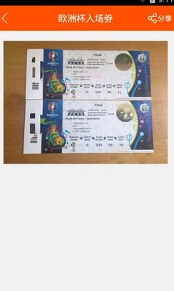 法国欧洲杯总决赛入场券生成器