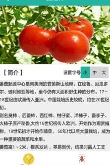 ũѵ(���溦���)app