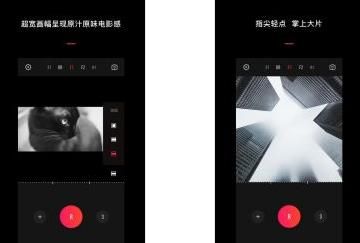 ��Ƶ�������� VUE