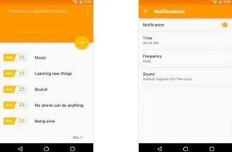 感恩记录 Gratitude Journal