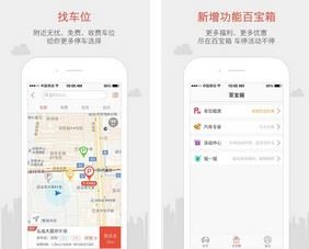 ����ͣ��