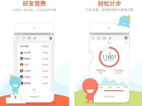 ����Ʋ���