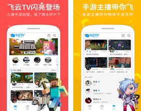 飞云TV