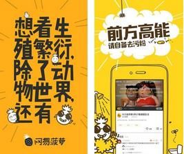 ���ײ���