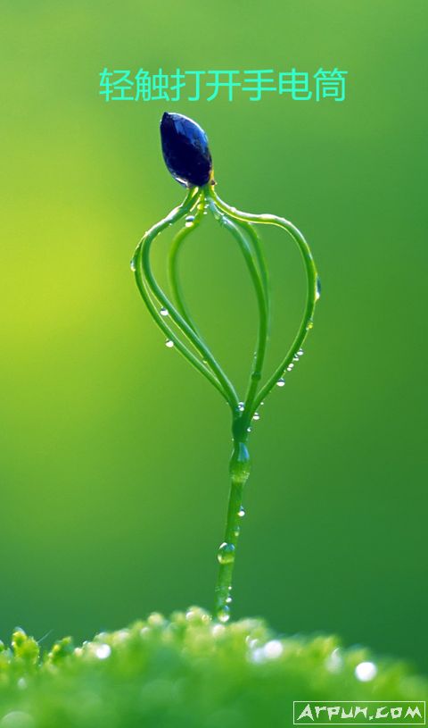 �����ֵ�Ͳ