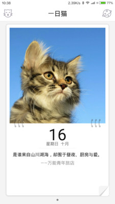 一日猫app