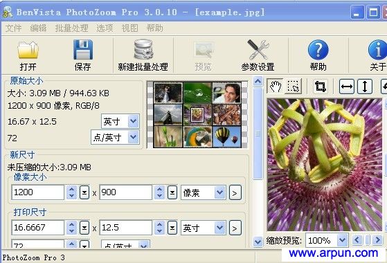 PhotoZoom Pro(数码图片放大的工具)