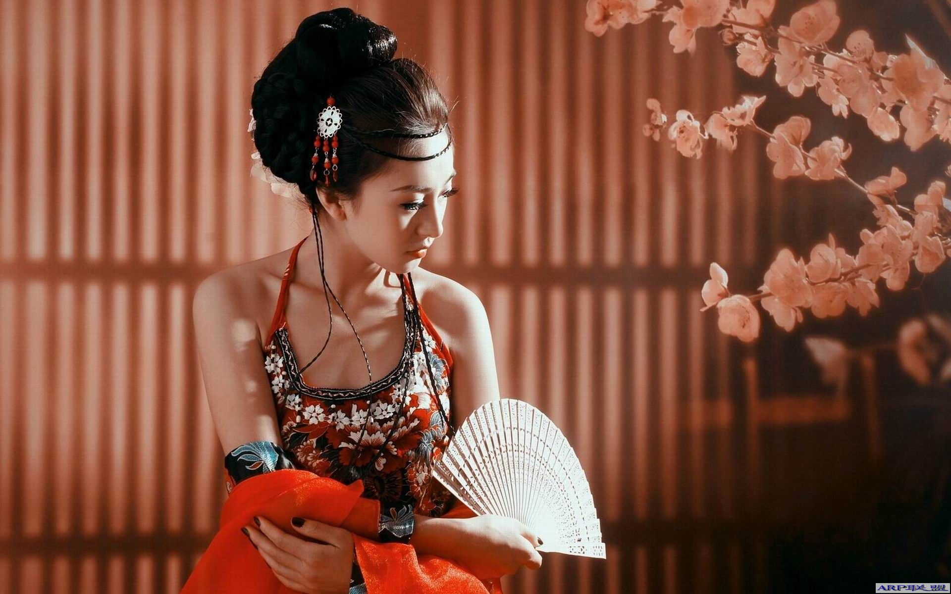 古代美女高清壁纸1920X1200【12P】