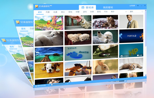 ��������ֽ