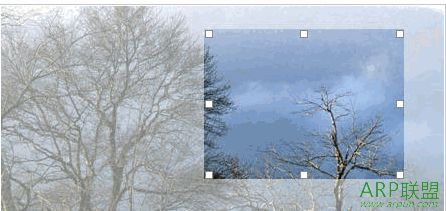 JsͼƬ���п�ר�ò��