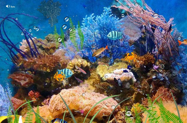 ����(ˮ������)