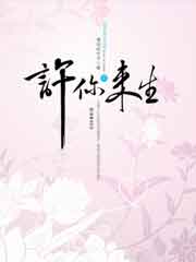 清穿 步步惊心、情倾天下