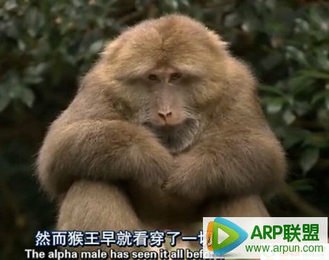 ���ѿ�����һ��ͼƬ�ϼ�