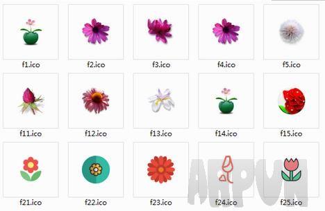 可爱花朵电脑图标