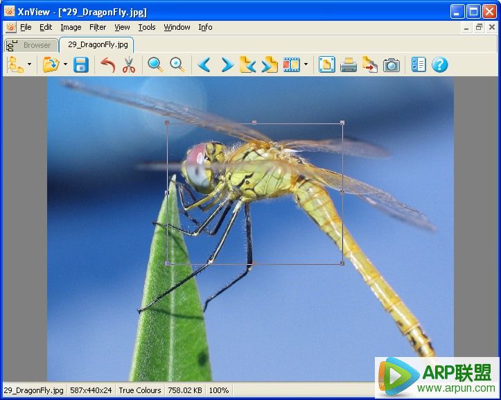 XnView Lite精简版