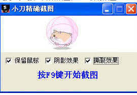 小刀精确截图工具