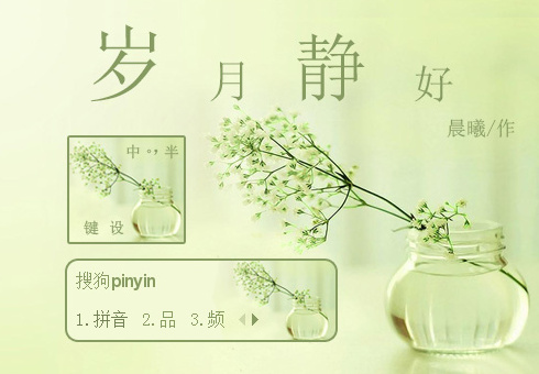 搜狗输入法皮肤之岁月静好