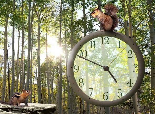 С����ʱ�ӵ�������