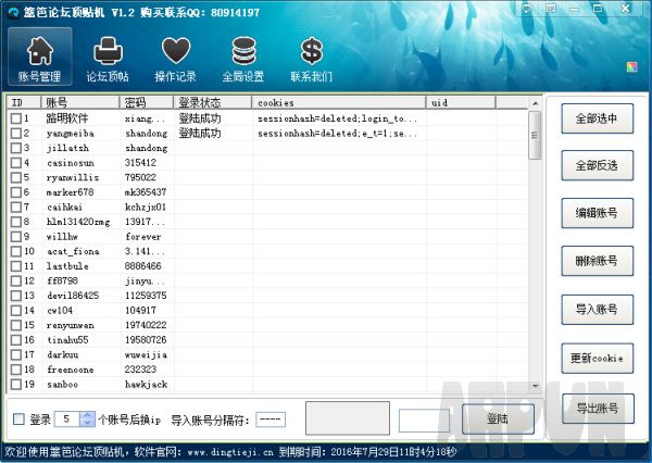 路明篱笆论坛顶贴机