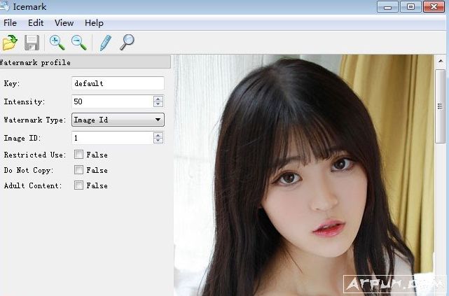 Icemark(数字水印保护软件)官方注册版下载