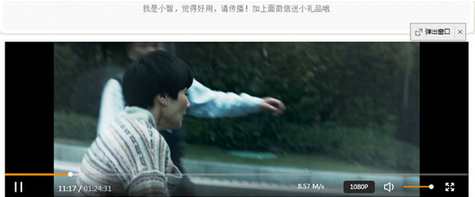 小智VIP视频解析(VIP视频解析软件)