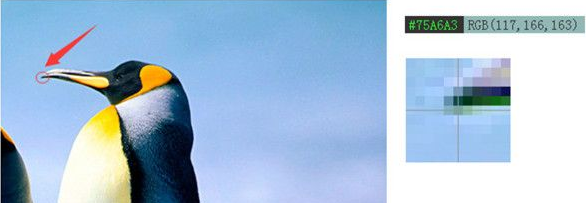 ��ɫ��Ļȡɫ��