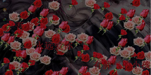 ���׳���������