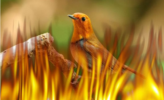 eye candy 4000滤镜(eye candy外挂滤镜工具)