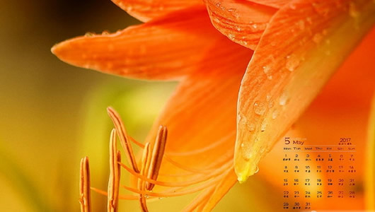 5�����������ֽ_2017��5�����������ֽ ������ˮӡ